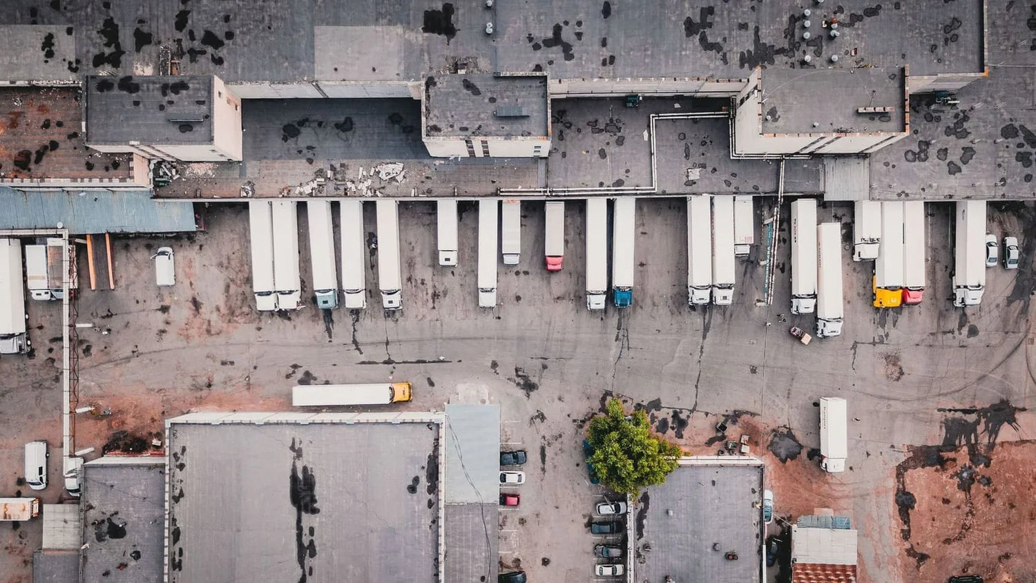 Trucks on a parking space